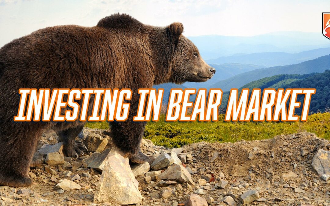 BEAR MARKET - lokacin ƙyanƙyasar millionaires